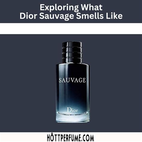 dior sauvage smells like pine trees